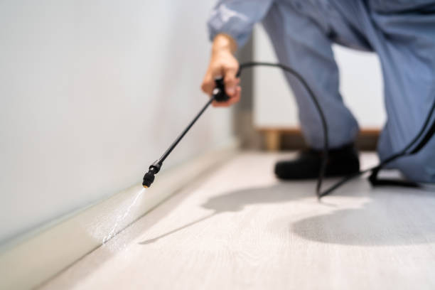 Licensed Cockroach Control service in Faulk County County, SD - Nex Pest Control